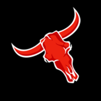 SHIRTS FOR BLAKE Thumbnail